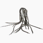 laces-1