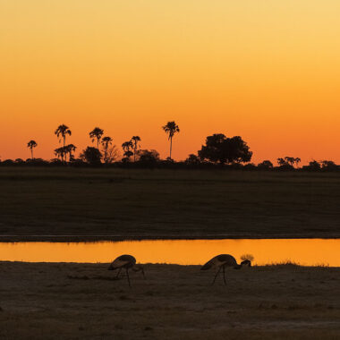 Ranger Boot Dispatch: An East African Expedition