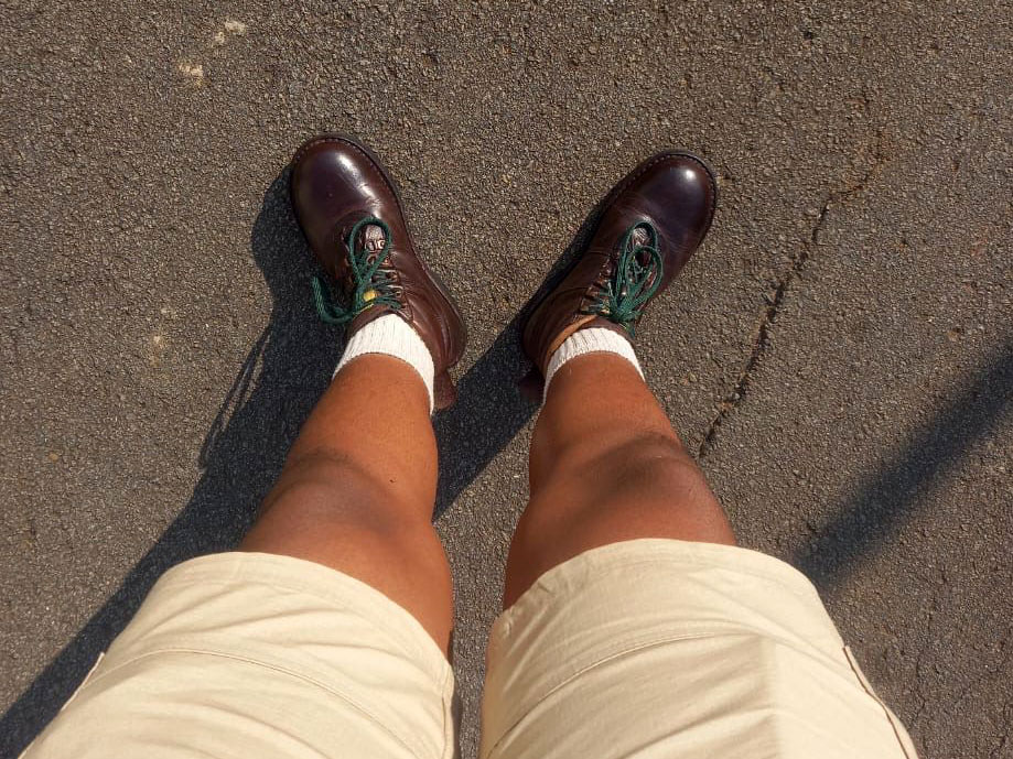 Young farmer tending dairy cows