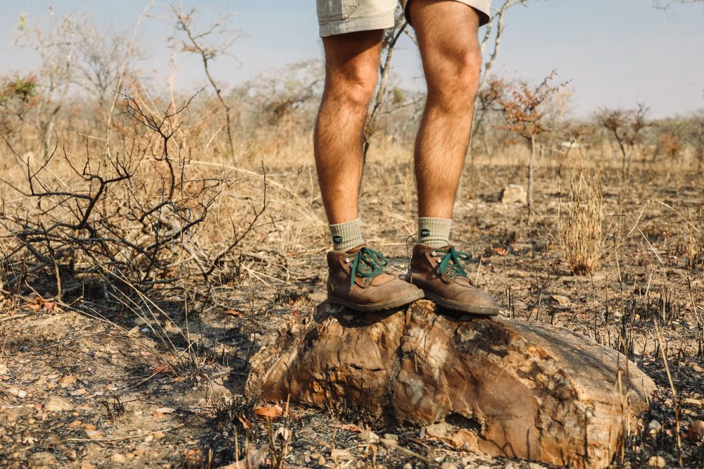 Bush pilot preparing for conservation flight