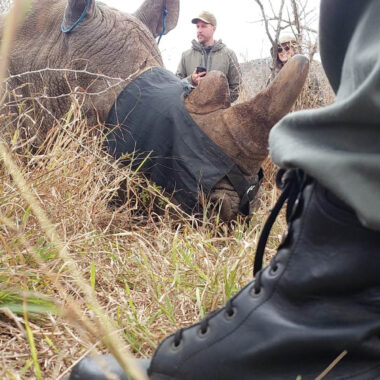 Lewa Conservancy: Where the Line Between People and Wilderness Disappears