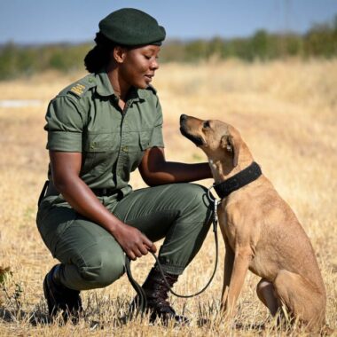 Lewa Conservancy: Where the Line Between People and Wilderness Disappears