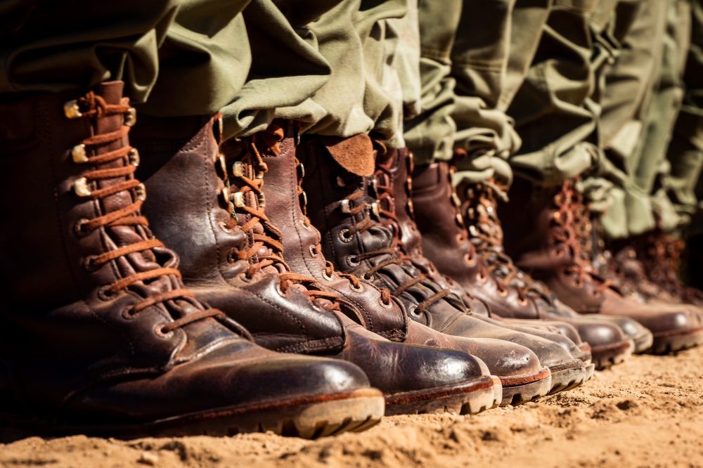 Wildlife in Gonarezhou including elephants and other species supported by ranger protection