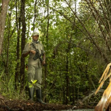 Lewa Conservancy: Where the Line Between People and Wilderness Disappears