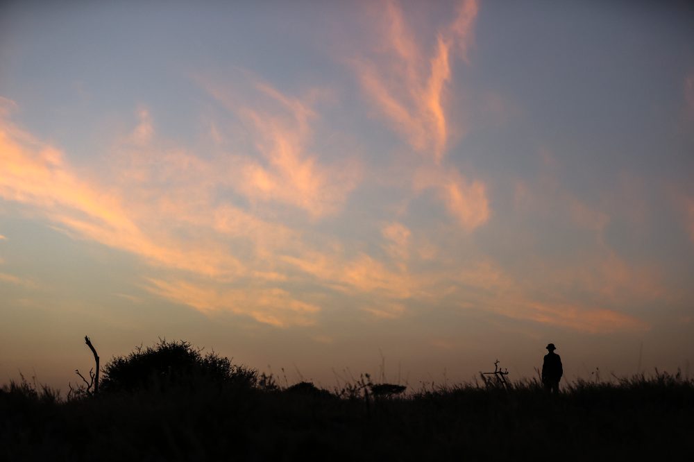 Silhouette of a ranger patrolling at dusk