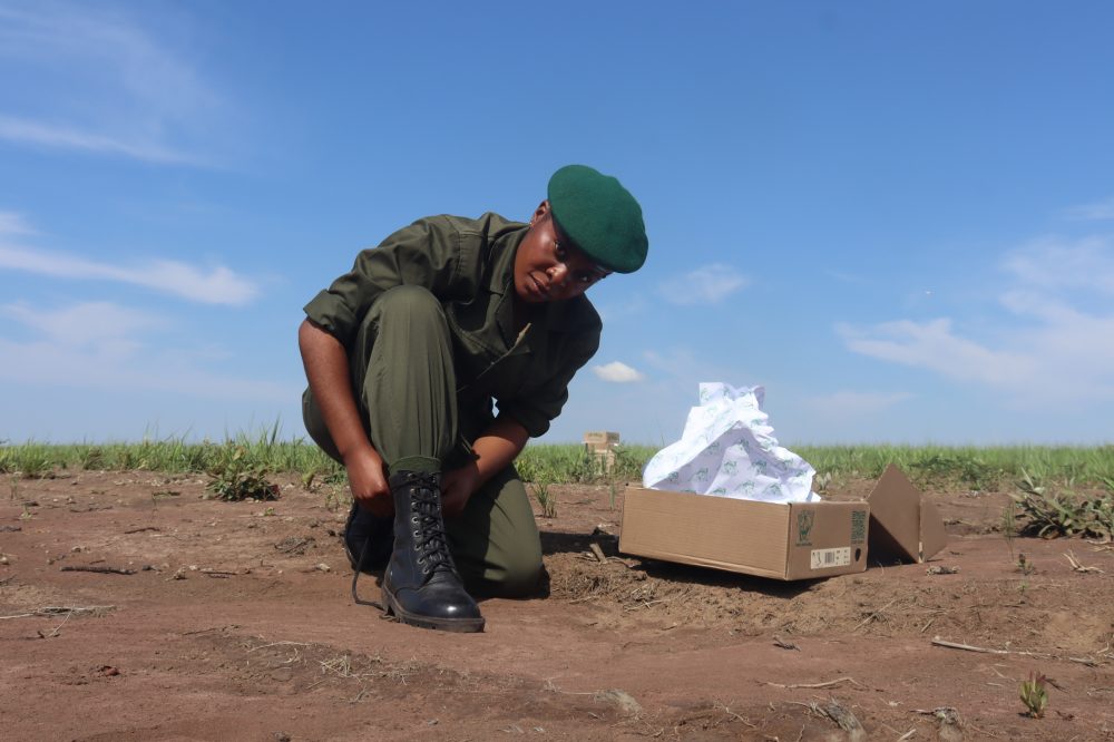 Rangers in formation at Upemba