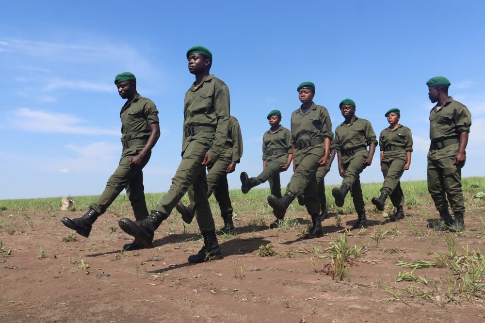 Wild zebras in Upemba