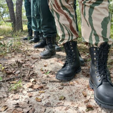 Lewa Conservancy: Where the Line Between People and Wilderness Disappears