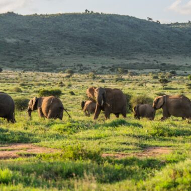 The many wonderful moving parts of Liwonde